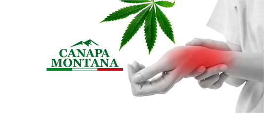 cbd per dolori articolari canapa montana