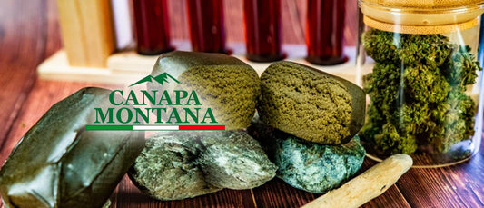 hashish resina marijuana cannabis