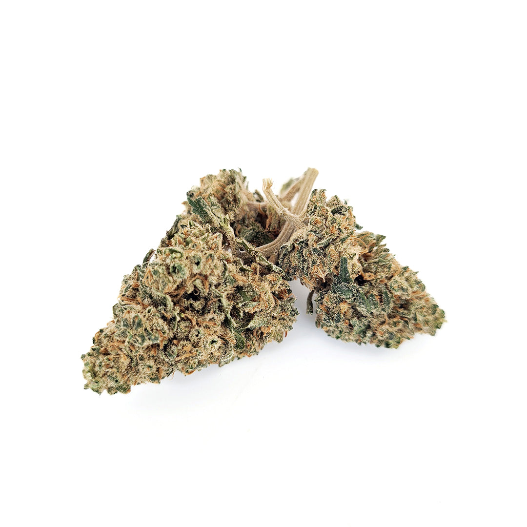 erba legale shop online Apple Punch Indoor Canapa Montana