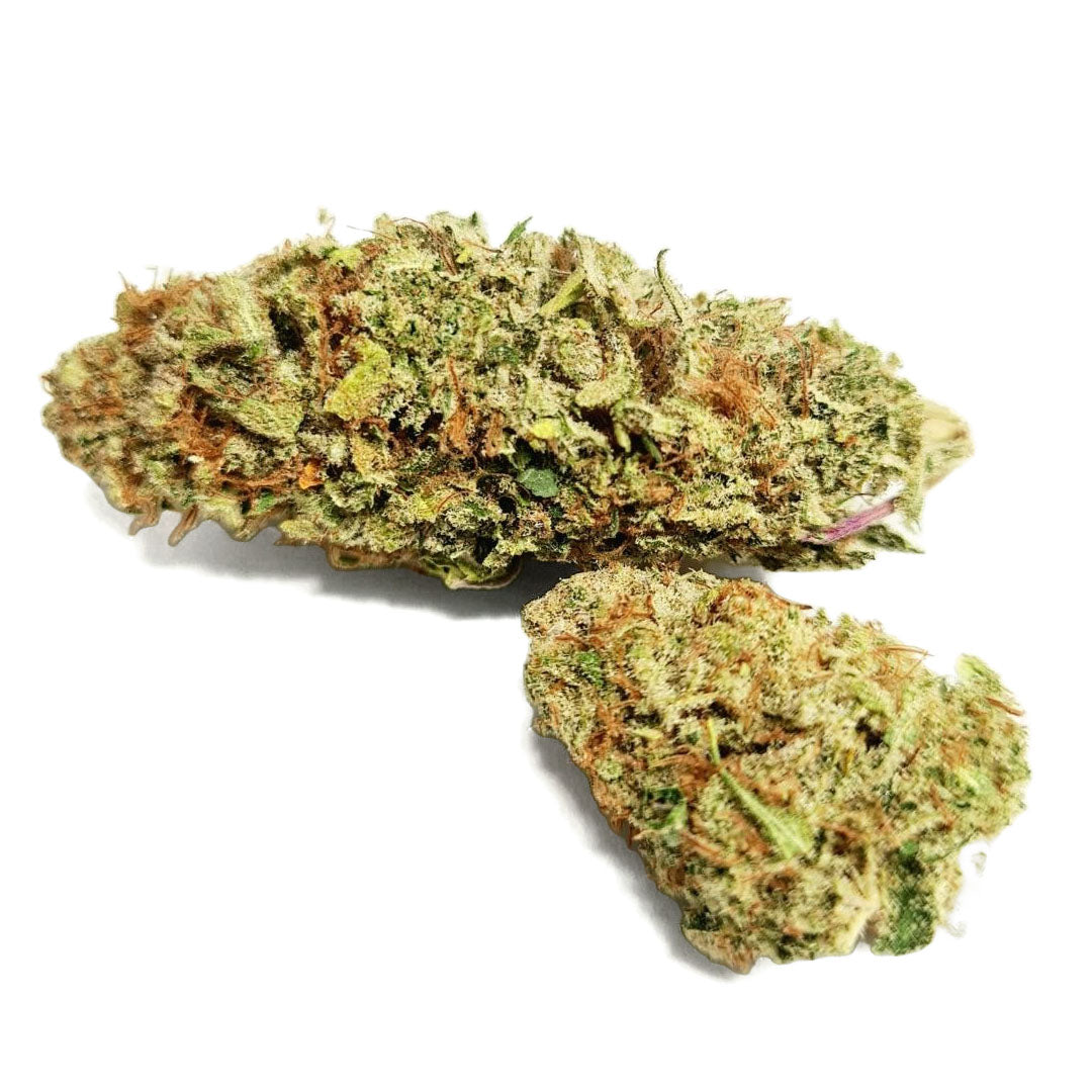 erba on line orangello indoor cbd Canapa Montana