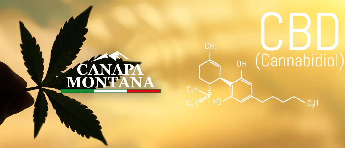 benefici cbd corpo Canapa Montana