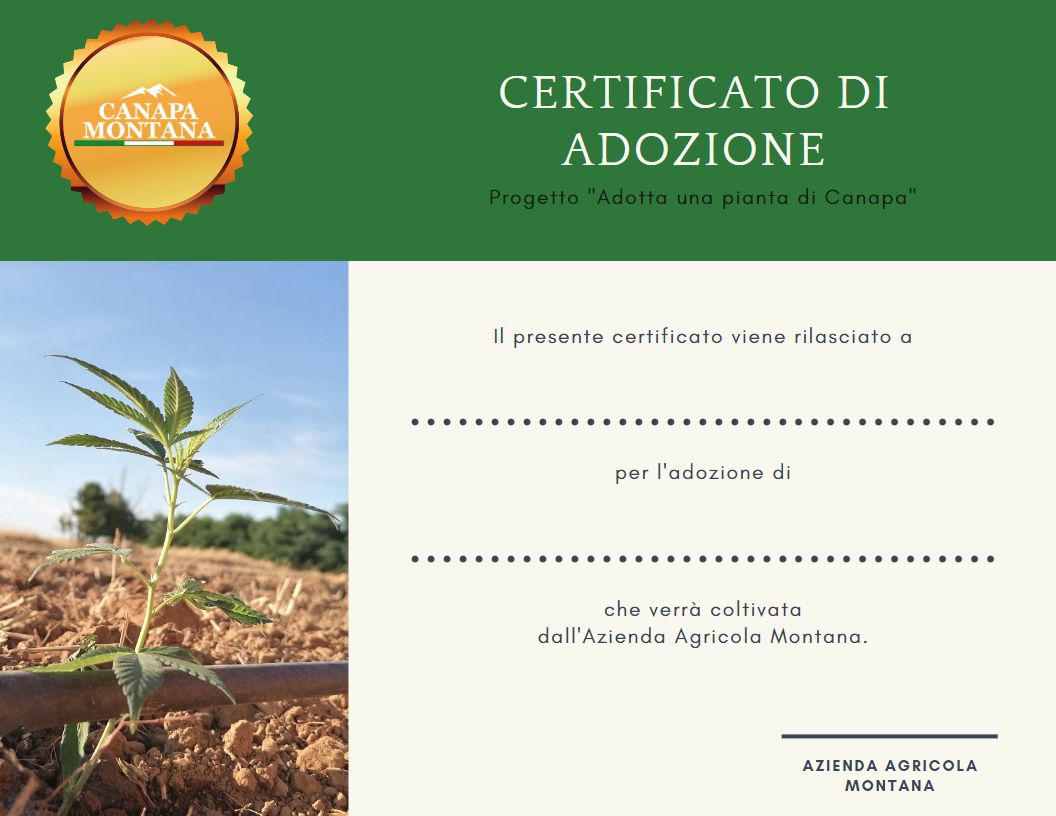 Certificato di Adozione