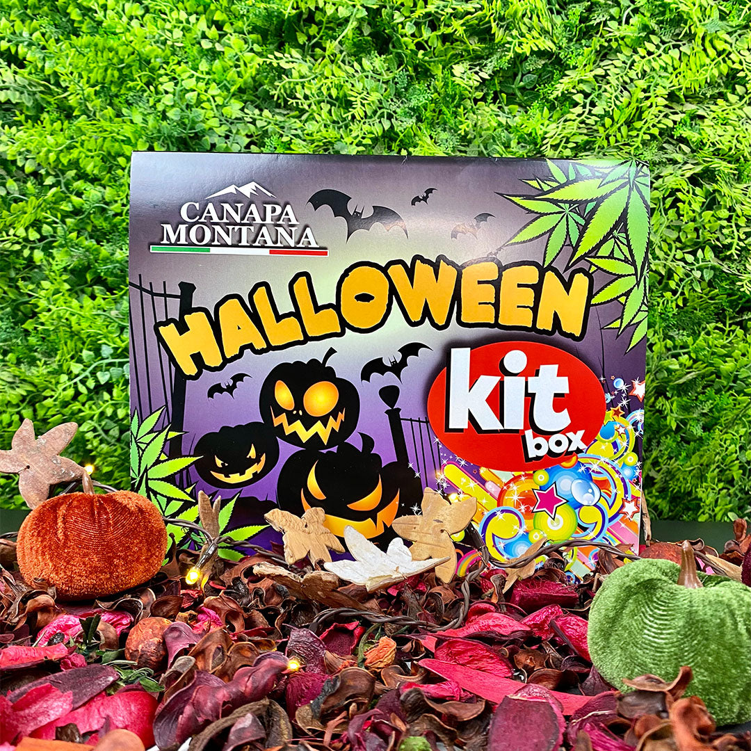 HALLOWEEN BOX - Limited Edition