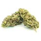 lemon haze cbd prezzo