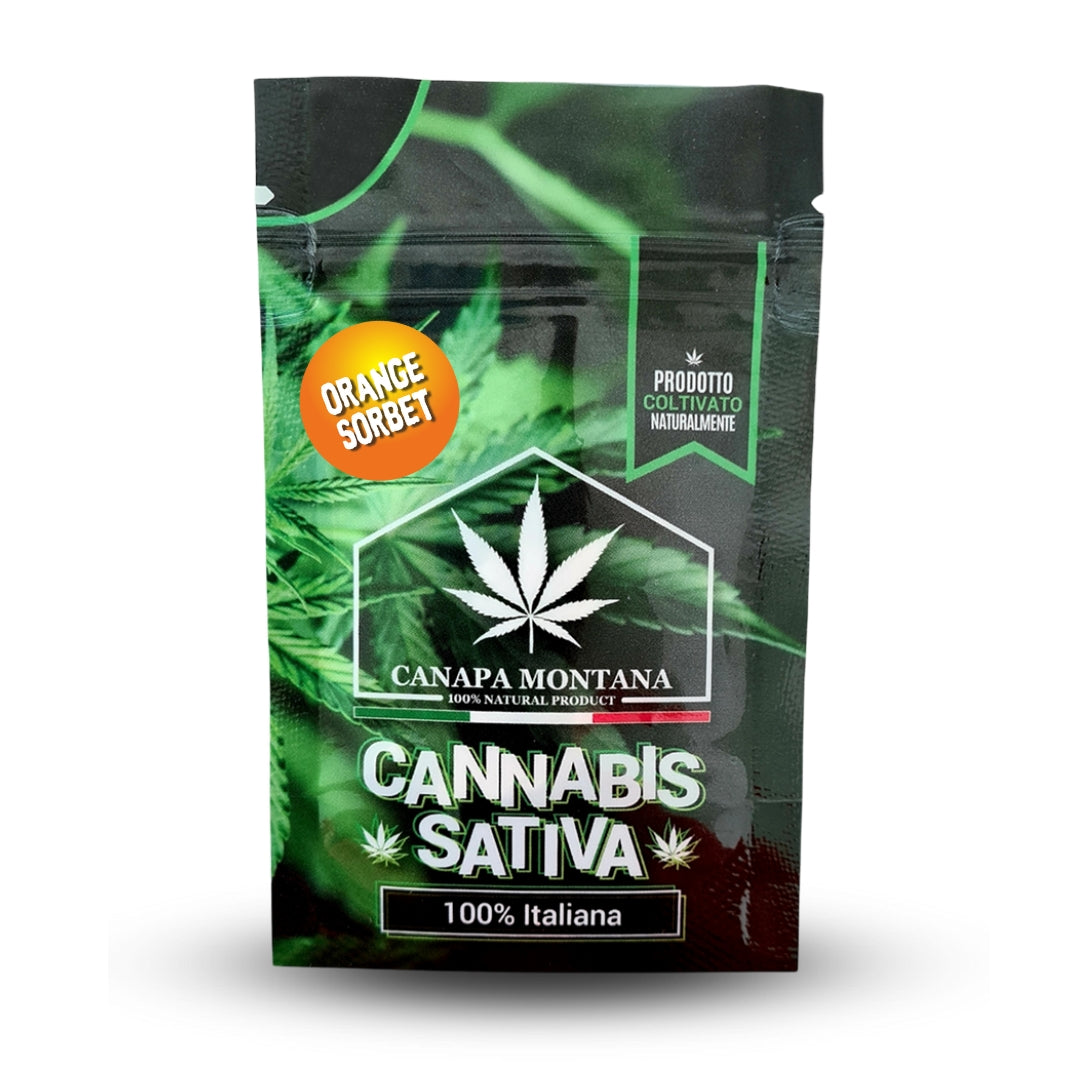 erba cbd shop legale Canapa Montana