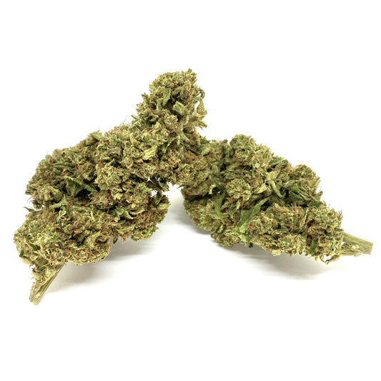 cannabis legale italia pink tangie Canapa Montana