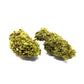 remedy cbd strain erba legale Canapa Montana